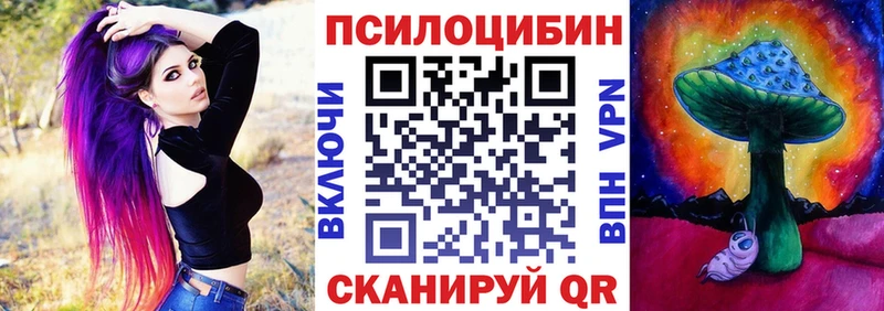 Купить закладки  Мценск  Псилоцибиновые грибы Psilocybe 