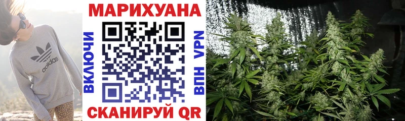 Купить закладки  Мценск  Конопля конопля 